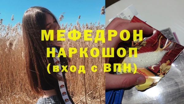 сатива Сатка