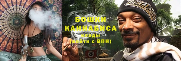 молекула духа Саяногорск