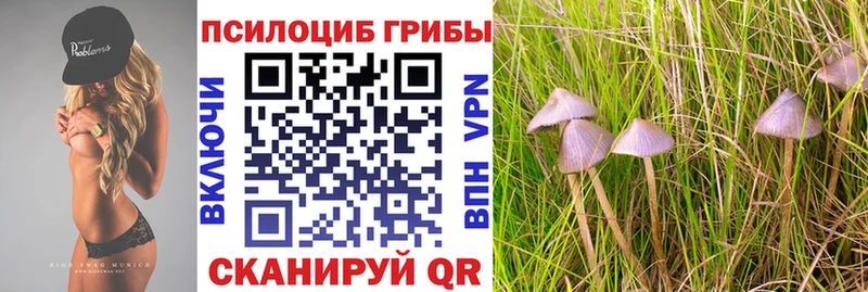 Псилоцибиновые грибы GOLDEN TEACHER  Купить  Сретенск 