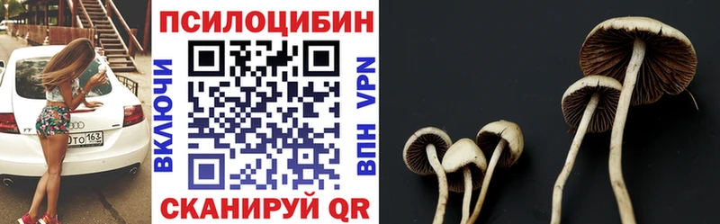 Галлюциногенные грибы Psilocybe Сретенск